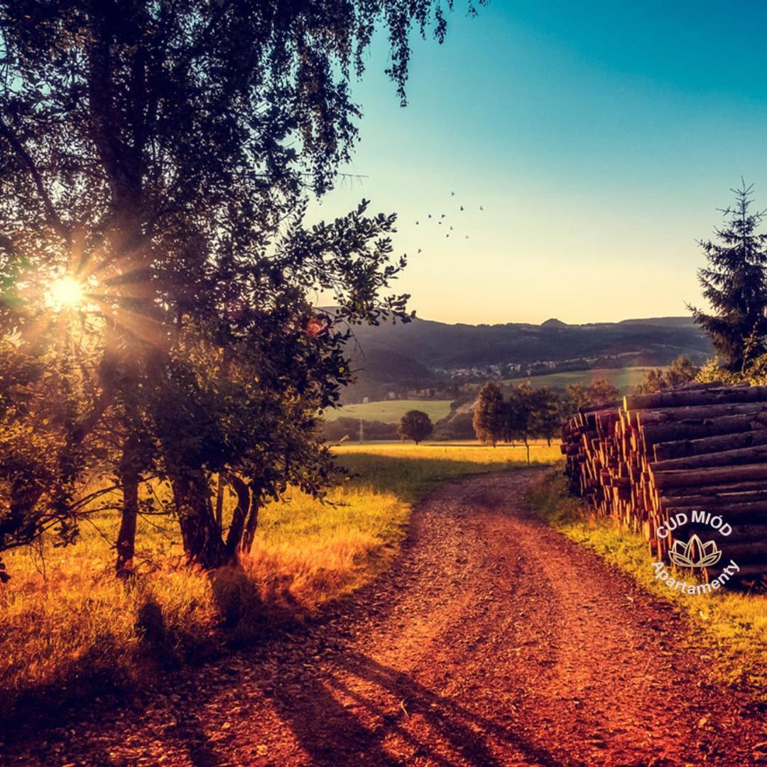 Apartamenty Cud Miod 1 Kudowa-Zdrój Buitenkant foto