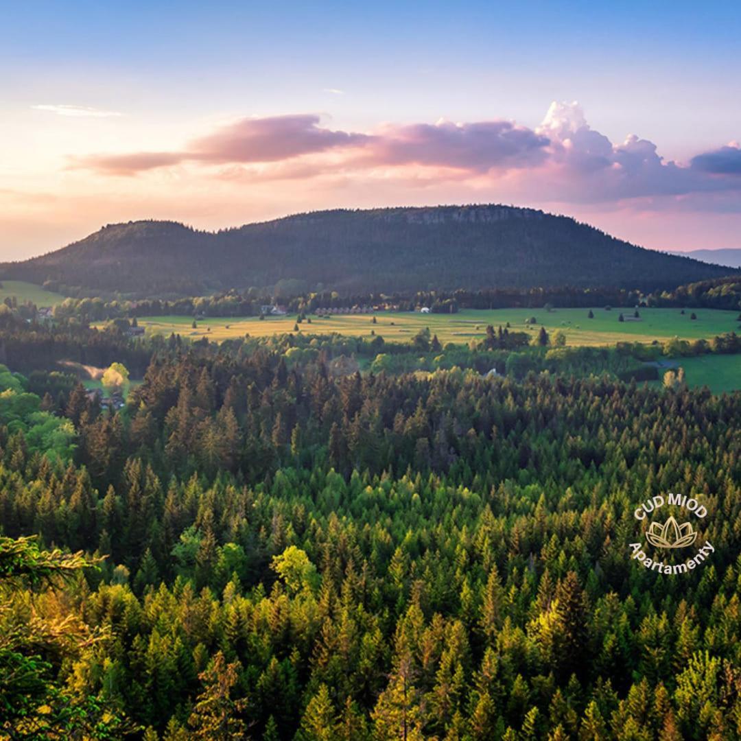 Apartamenty Cud Miod 1 Kudowa-Zdrój Buitenkant foto